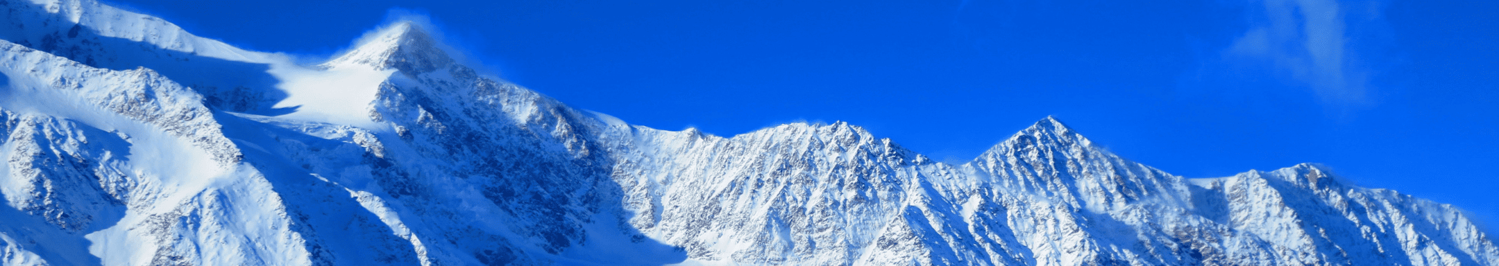 SaaS Terms and Concepts