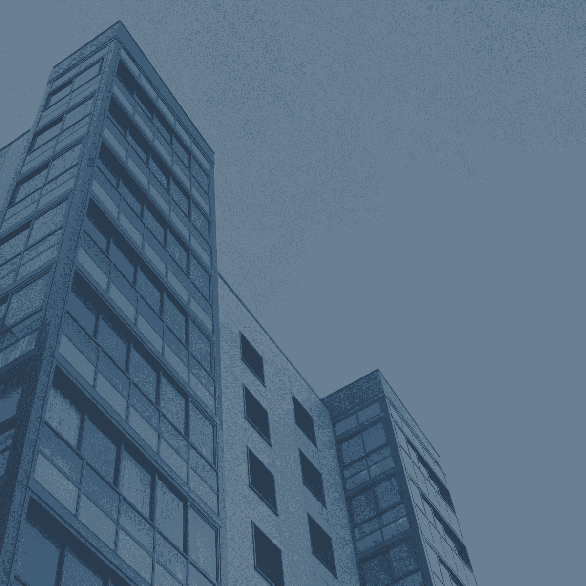 Seedium key facts and milestones Seedium key facts and milestones